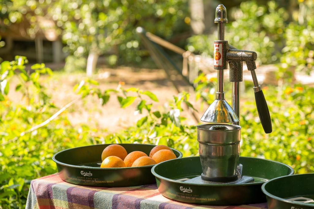 Çıralı Secret Garden Hotel & Bungalows מראה חיצוני תמונה