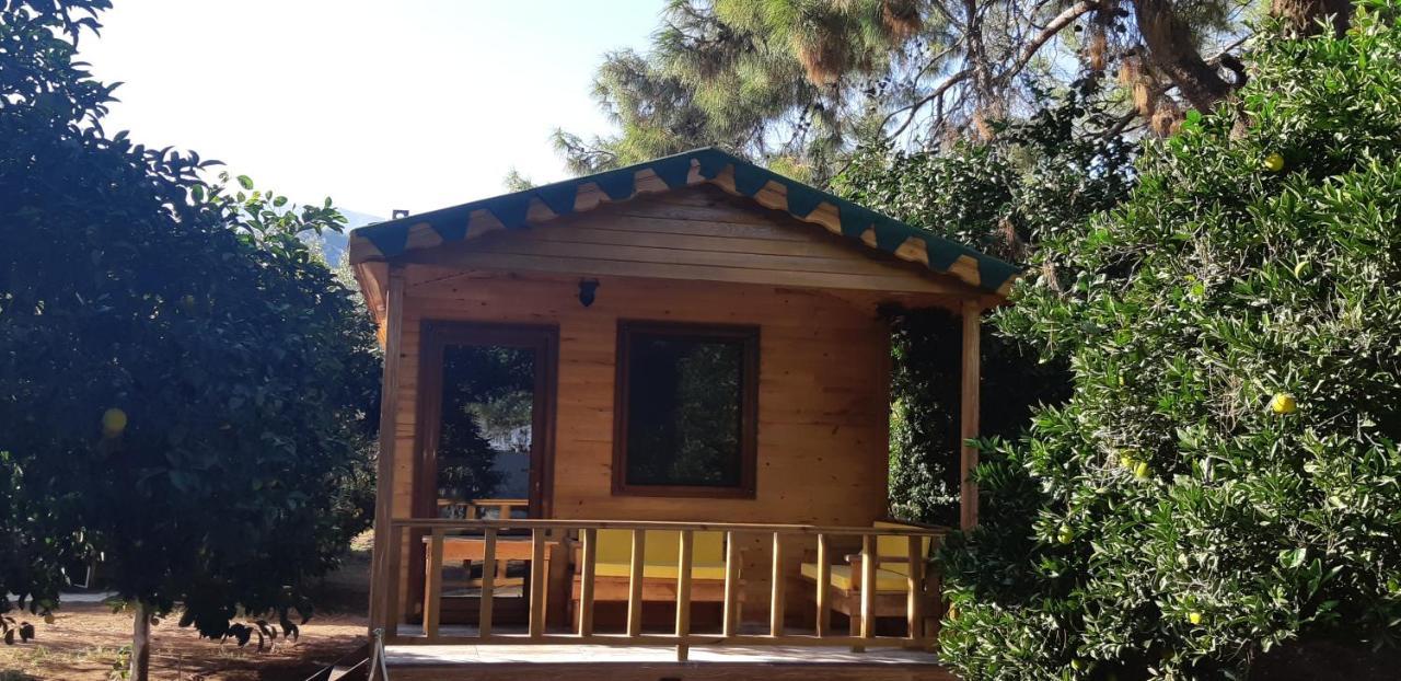 Çıralı Secret Garden Hotel & Bungalows מראה חיצוני תמונה